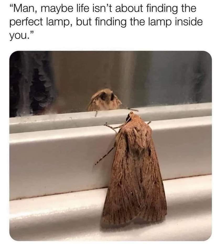b9f8d637 c80f 4205 bd47 c046c3b307e9