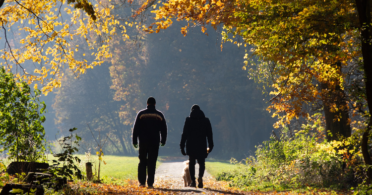 A Walk & Talk konzultáció előnyei