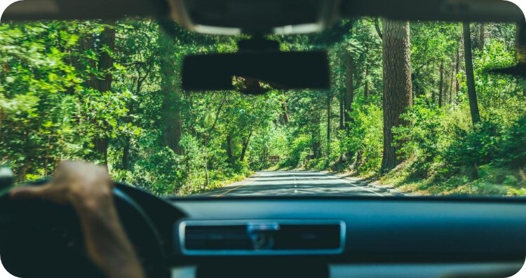 A vak navigátor 1.1 - A jelen értéke