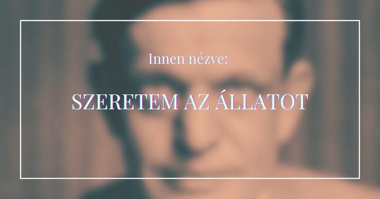 Karinthy nyulával az önértékelésünkről