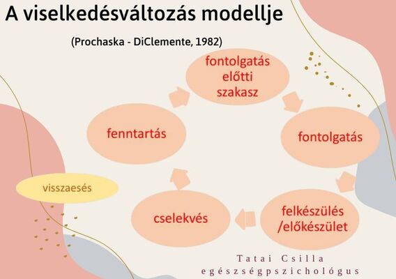 Életmódváltás - Szakaszok szerint