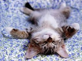 14 hónap szorongásai és a relaxáció