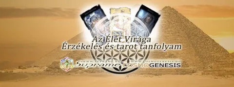 Élet Virága Tarot tanfolyam indul 2021. október 16-17-én!