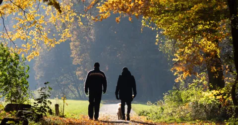 A Walk & Talk konzultáció előnyei