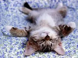 14 hónap szorongásai és a relaxáció