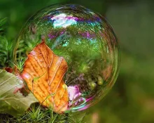 Tudatos jelenlétet (mindfulness) fejlesztő őszi tanfolyam