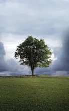 Mindfulness alapú stresszkezelés 19-25 éveseknek