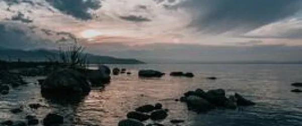 Társ nélkül – Az extrém függetlenség