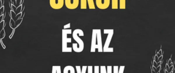 A cukor és az agyunk (káros) kapcsolata