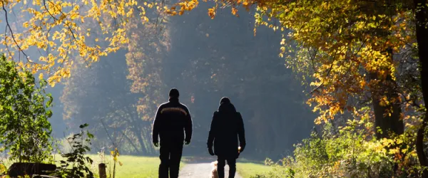 A Walk & Talk konzultáció előnyei