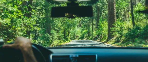 A vak navigátor 1.1 - A jelen értéke