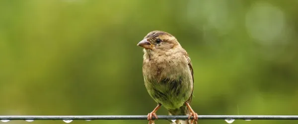 Szemléletemről, sebezhetőségünk felvállalásáról - Hajdú Ádám pszichológus