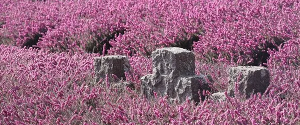 Halálszorongás: a megismerés és a megbékélés útja