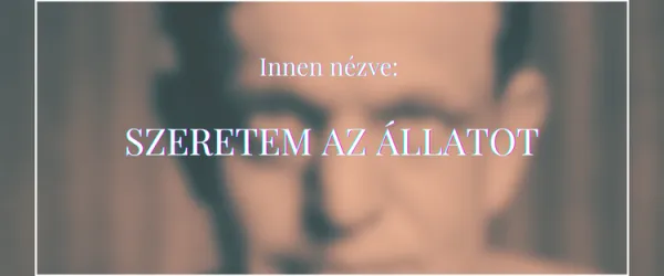 Karinthy nyulával az önértékelésünkről