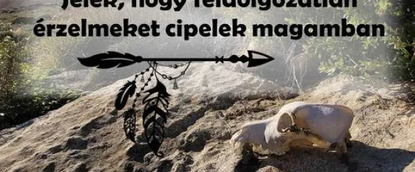 Jelek, hogy feldolgozatlan érzelmeket cipelek magamban