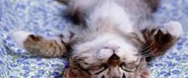 14 hónap szorongásai és a relaxáció